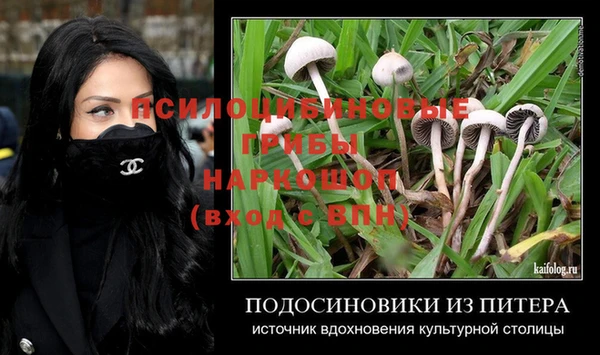 соль ск Абдулино