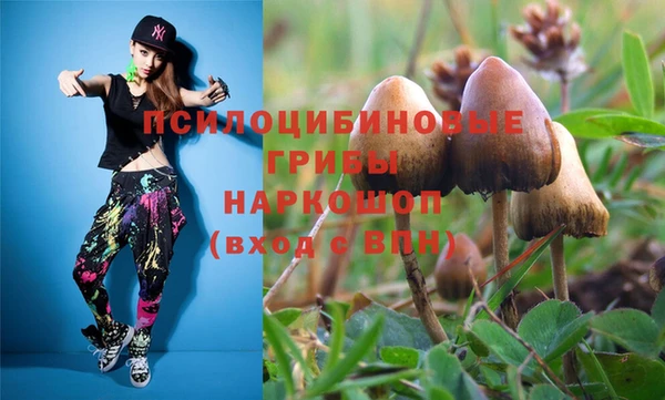 apvp Абаза